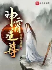 《神霄道尊》小说封面