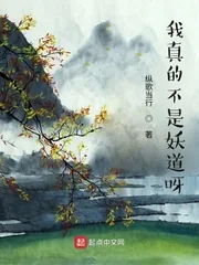 《我真的不是妖道呀》小说封面