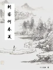 《刺客何春夏》小说封面