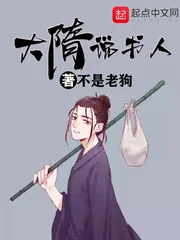 《大隋说书人》小说封面