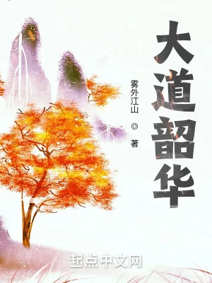 《大道韶华》小说封面