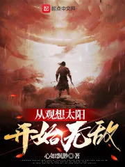 《从观想太阳开始无敌》小说封面