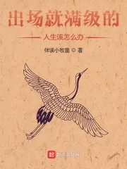 《出场就满级的人生该怎么办》小说封面