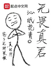 《无畏真君》小说封面
