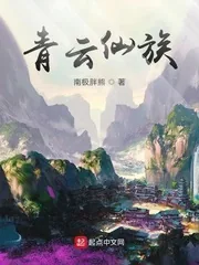 《青云仙族》小说封面