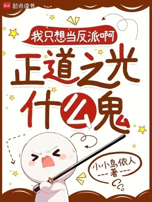 《我只想当反派啊，正道之光什么鬼》小说封面