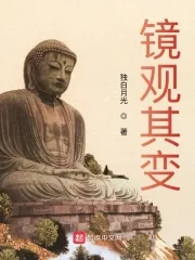 《镜观其变》小说封面