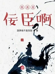 《我真是佞臣啊》小说封面