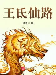 《王氏仙路》小说封面