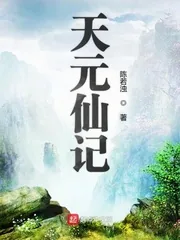《天元仙记》小说封面