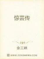 《惊芸传》小说封面