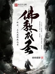 《红云：立大乘佛教成圣》小说封面