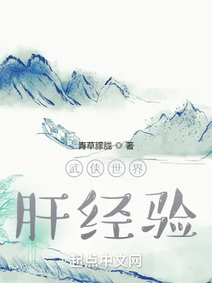 《武侠世界肝经验》小说封面
