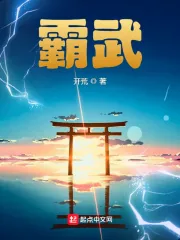 《霸武》小说封面