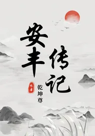 《安丰传记》小说封面