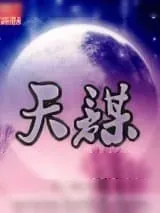 《天谋》小说封面