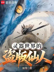 《灵器世界的盗版仙人》小说封面