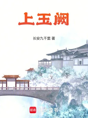 《上玉阙》小说封面