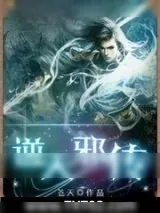 《逆天邪传》小说封面