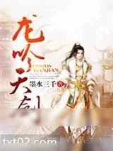 《龙吟天剑》小说封面