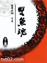《鱼丽：双鱼魂》小说封面