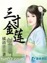 《三寸金莲》小说封面