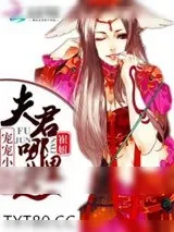 《宠宠小狐妖：夫君哪里逃》小说封面