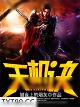 《天机诀》小说封面