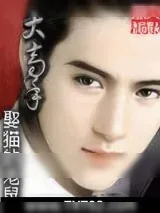 《大高手》小说封面