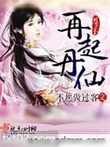 《再起丹仙》小说封面