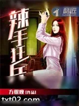 《辣手狂兵》小说封面
