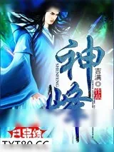 《神峰》小说封面