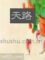 《天路》小说封面