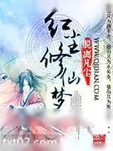 《红尘修仙梦》小说封面