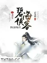 《碧海侠客传之打鬼子》小说封面