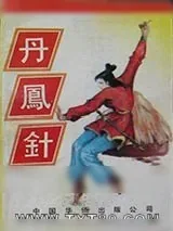 《丹凤针》小说封面