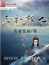 《九阳补天》小说封面