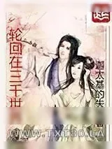 《轮回在三千世界》小说封面