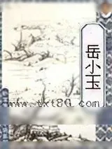 《岳小玉》小说封面