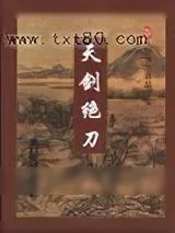《天剑绝刀》小说封面