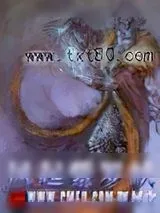 《风起紫罗峡》小说封面
