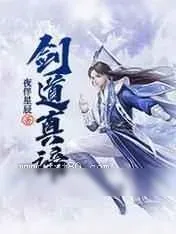 《剑道真谛》小说封面