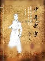 《少年武宗》小说封面
