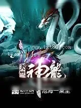 《天竺神龙》小说封面
