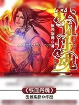 《铁血丹魂》小说封面