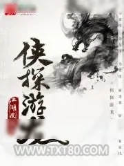 《侠探游龙》小说封面