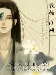 《数据江湖》小说封面