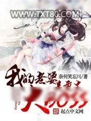 《武林》小说封面