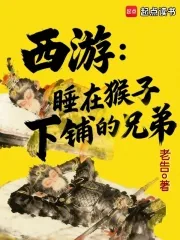 《西游：睡在猴子下铺的兄弟》小说封面