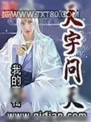《天宇问天》小说封面